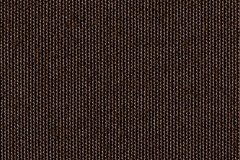 4827 Chocolate (C)