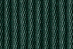 4846 Forest Green (C)