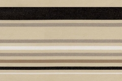 4891 Black Latte Stripe (C)