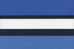 4899 Hampton Stripe (C)