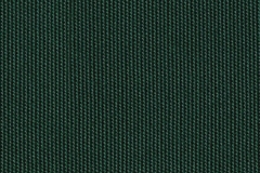 5446 Forest Green (A)