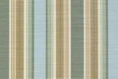 Raleigh-Stripe-Willow