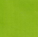 20273 Lemon Lime (B)