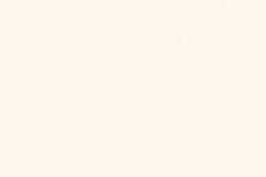 parchment