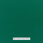 3013_Forest-Green_lg