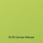 3176-Canvas-Macaw