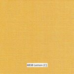 4838_Lemon