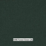 5446_ForestGreen