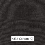 4834_Carbon e