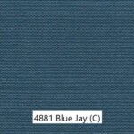 4881_Blue_Jay e
